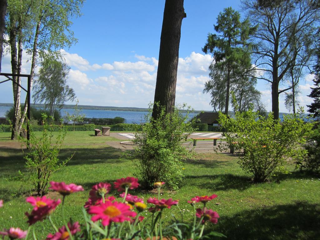 Ferienpark Heidenholz เพลาอัมซี ภายนอก รูปภาพ