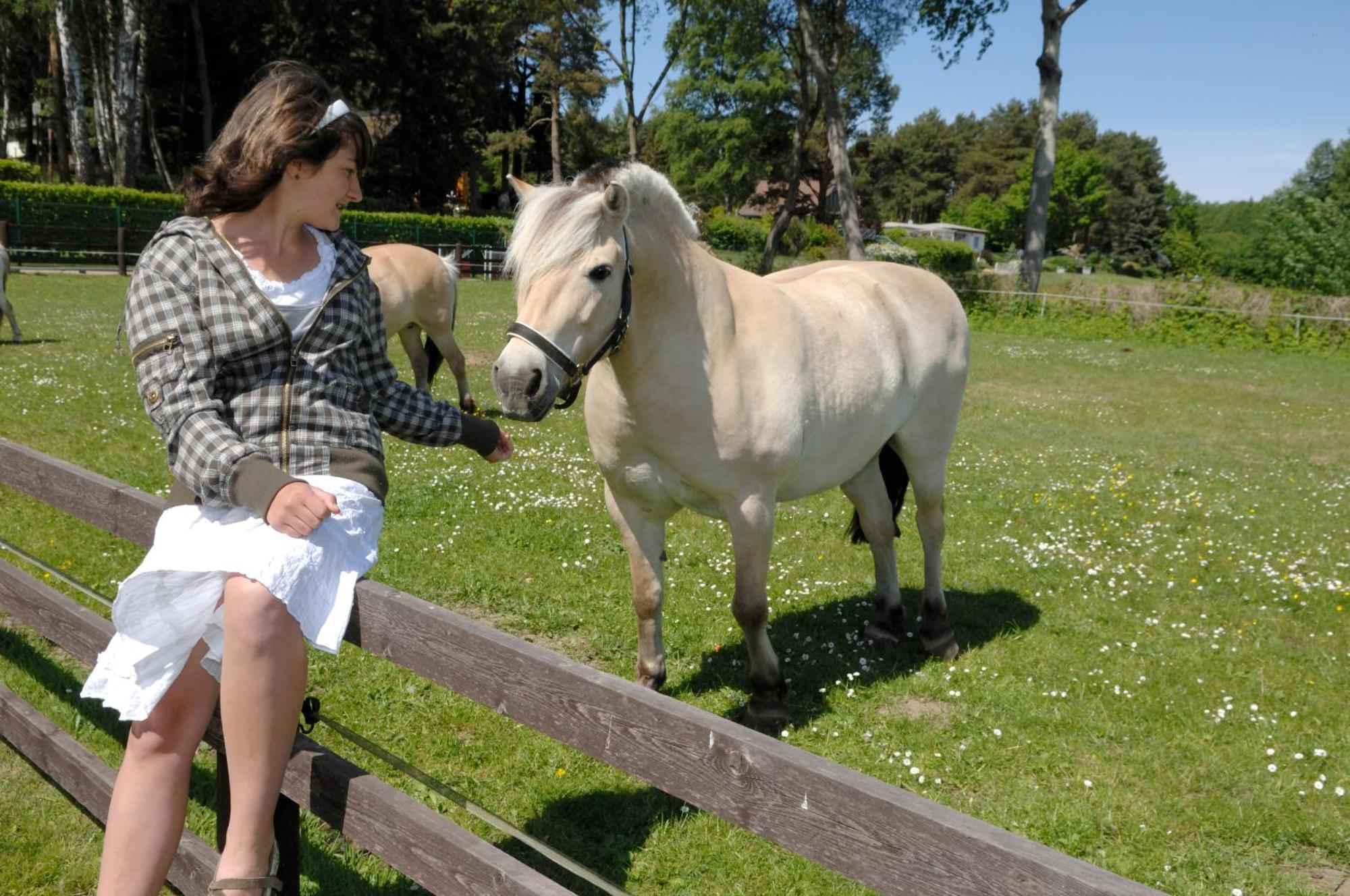 Ferienpark Heidenholz เพลาอัมซี ภายนอก รูปภาพ